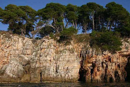 Tour image 6