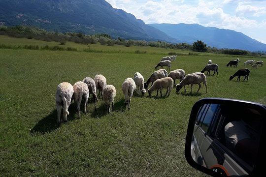 Tour image 12