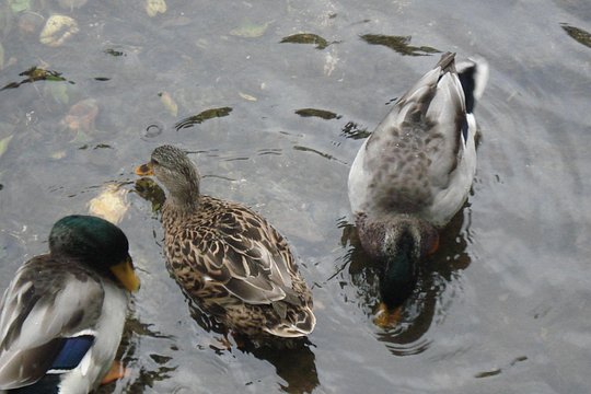 Tour image 6