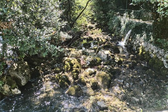 Tour image 3
